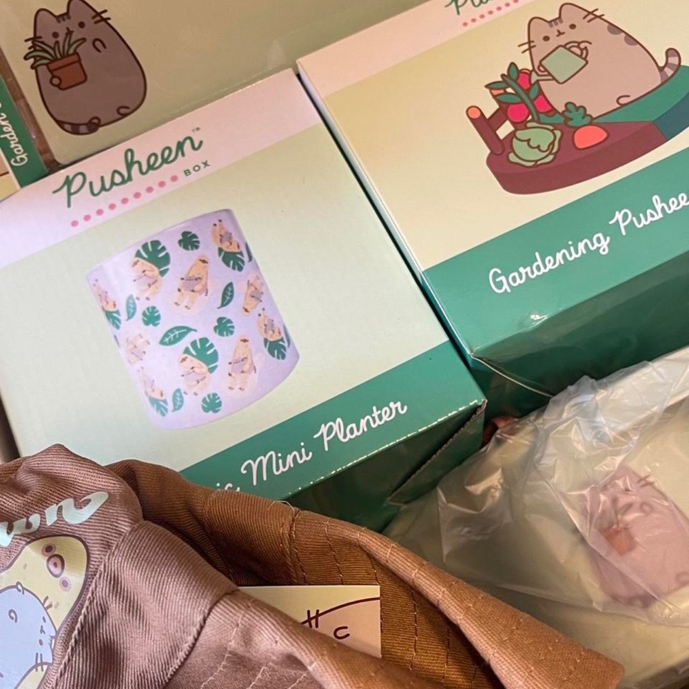 Pusheen Box - Picture 2 of 3